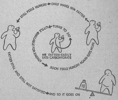 Mr Fatten-Easily eats carbohydrate&ndash;Turns to fat&ndash; little available for energy&ndash; soon feels hungry and again eats more&ndash; only makes him fatter&ndash; still feels hungry&ndash; fatter still and still not satisfied— and so it goes on.